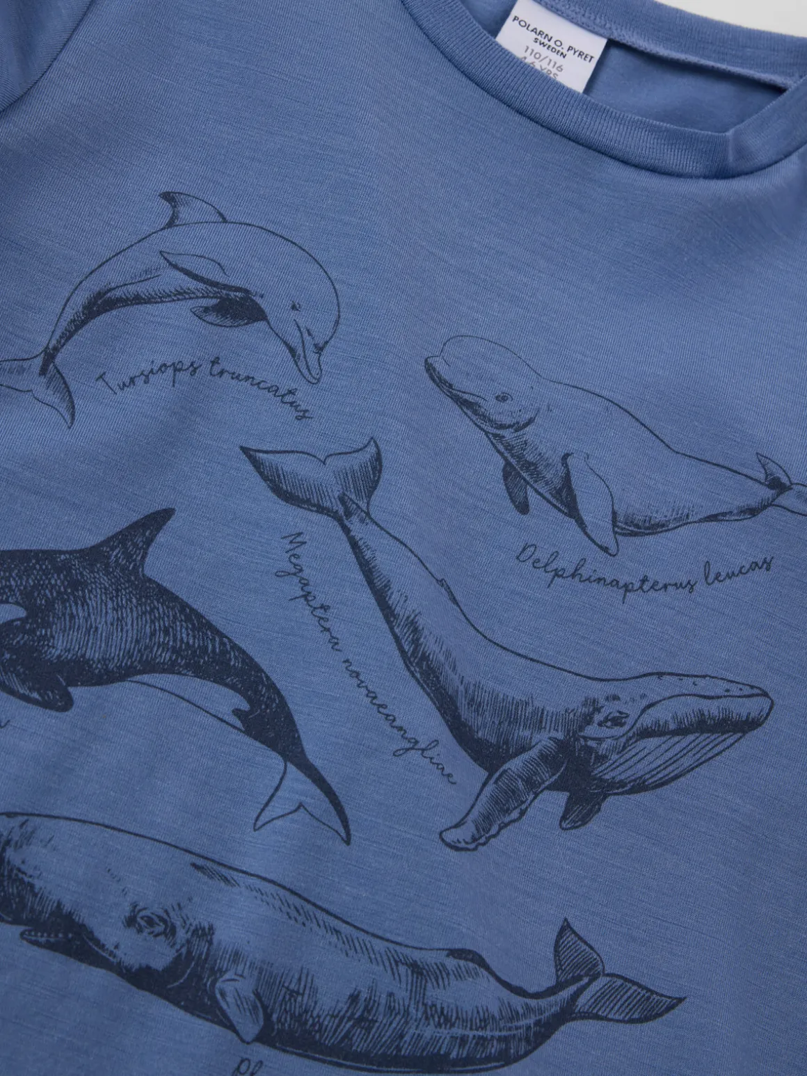 T-shirt ullmix
